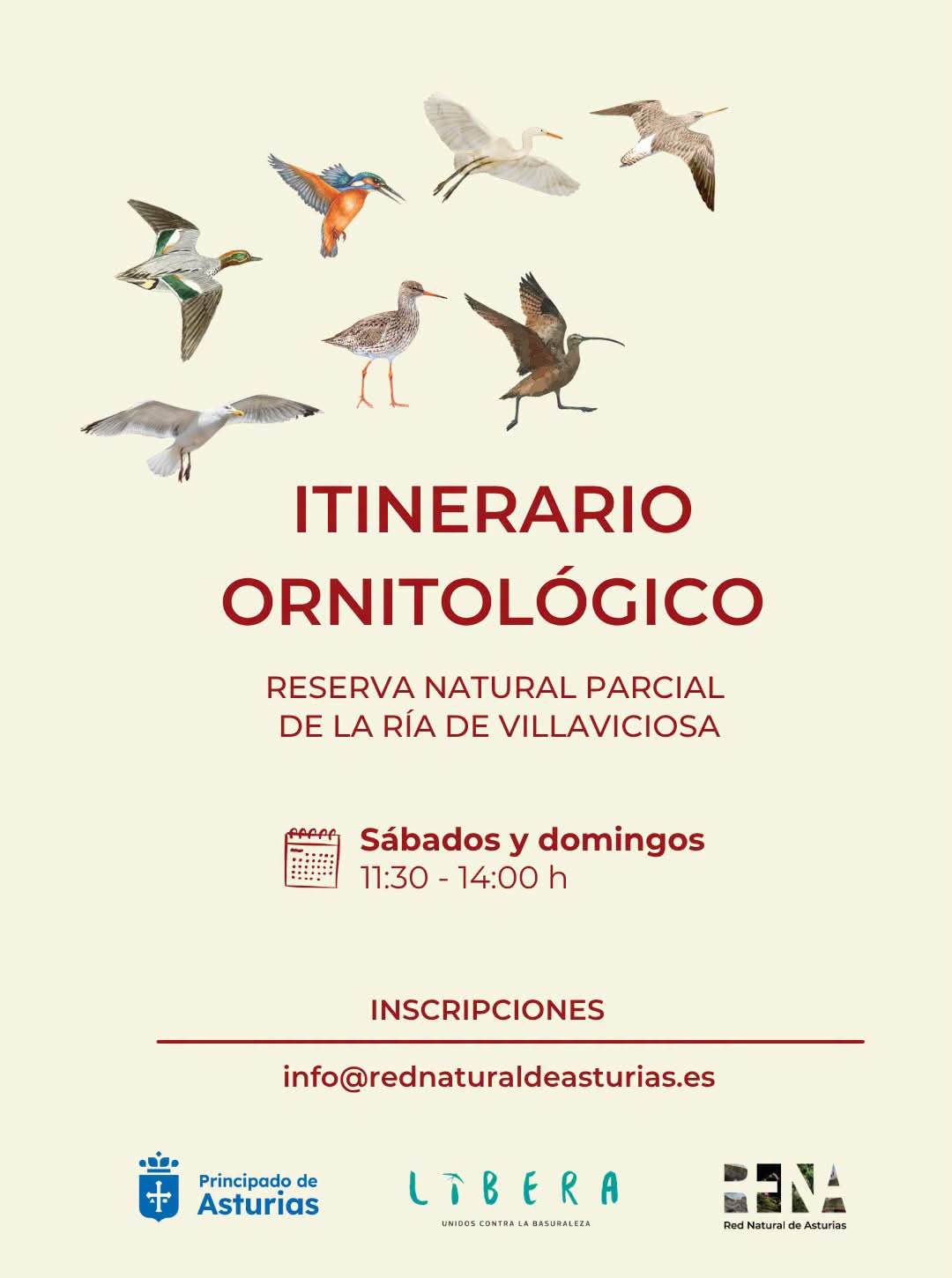 Itinerarios ornitol�gicos Ria de Villaviciosa