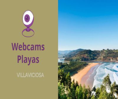 webcams